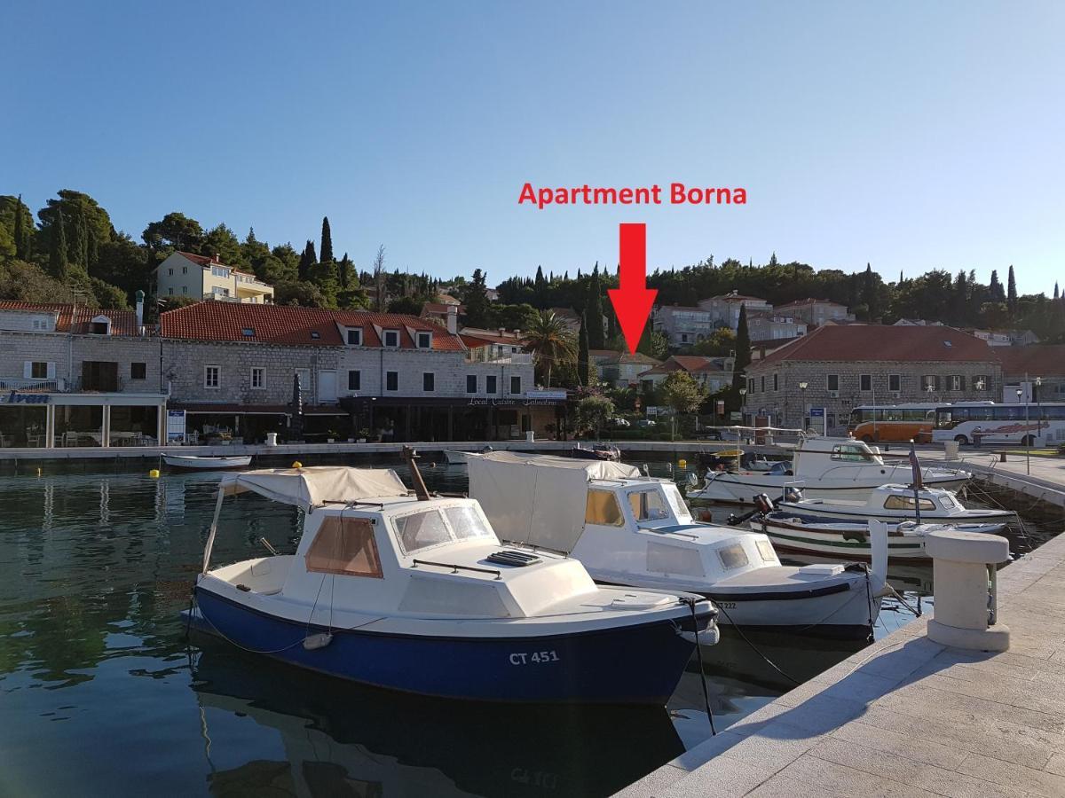 Apartment Borna ツァヴタット エクステリア 写真